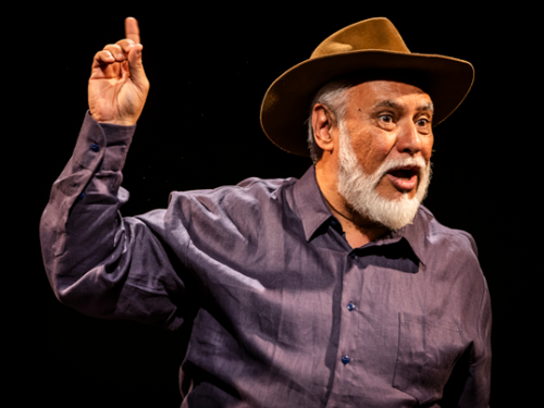 Trilogia Grande Sertão: Veredas 