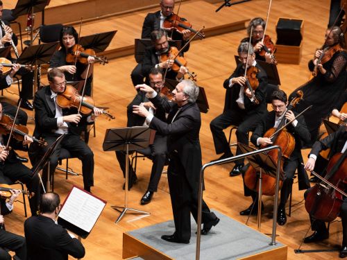 Maestro Fabio Mechetti