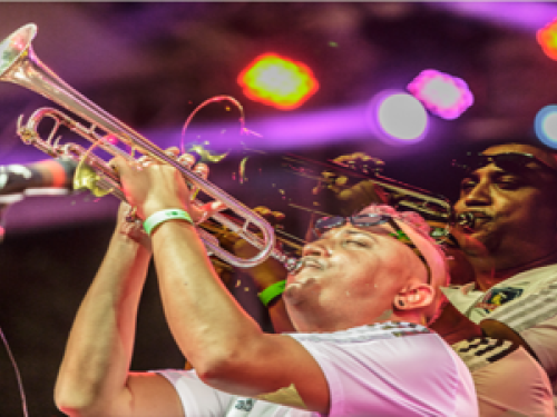 Show: Pajé e a Nave: V. 1 de William Alves