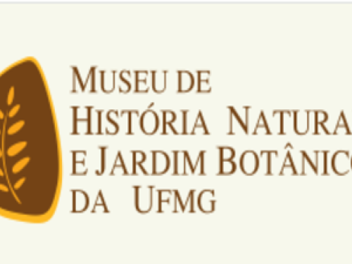 Exposição: "Grafismos na Pedra: As Artes Rupestres Brasileiras"