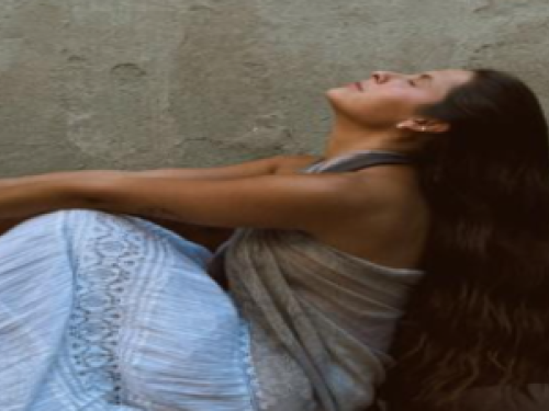 Bia Campolina - Banner