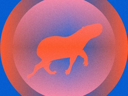 26º FestCurtasBH – Festival Internacional de Curtas de Belo Horizonte