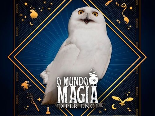 O Mundo de Magia Experience