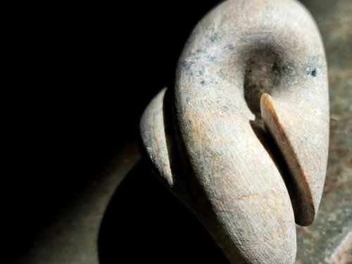 Exposição coletiva: ‘Desenvolvimento’