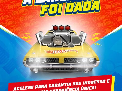 Hot Wheels City Experience