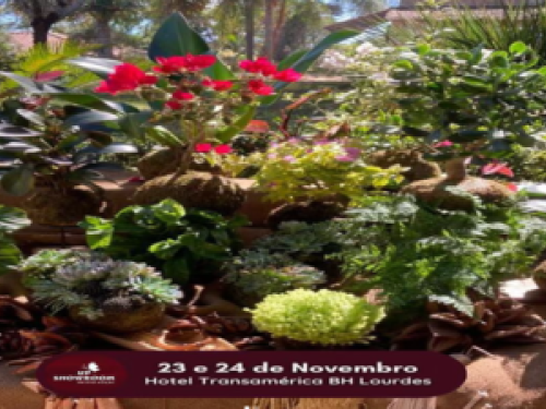 10ª Edição: Up Showroom