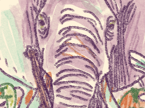 O Carnaval dos Animais