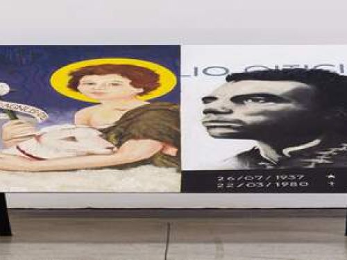 Exposição: “Dobra e Desdobra da Espinha Dorsal”