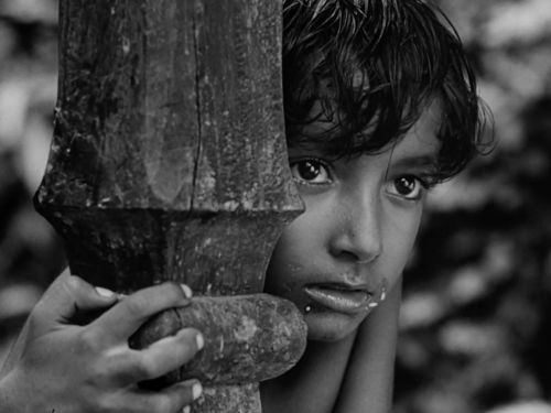 A Canção da Estrada