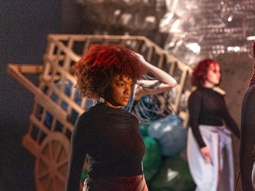 Espetáculo Avistado 