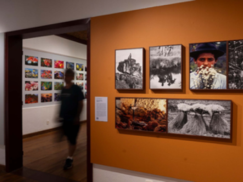 Exposição: "Eztetyka da Terra" - Foto em Pauta