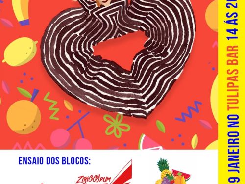 Ensaio 2025 - Bloco Ziriggydum Stardust