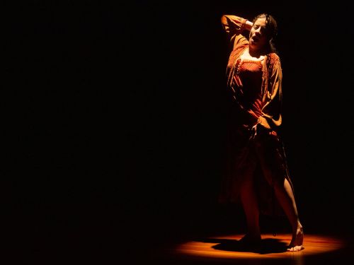 Espetáculo: A Obscena Senhora H - Paixão e Obra de Hilda Hilst