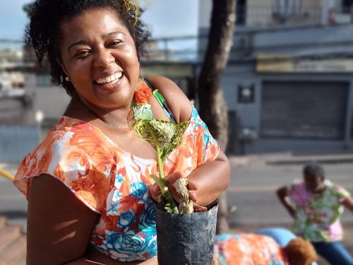 Ensaios dos Blocos: “Salada de Frutas” e “Tá Caindo Fulô”