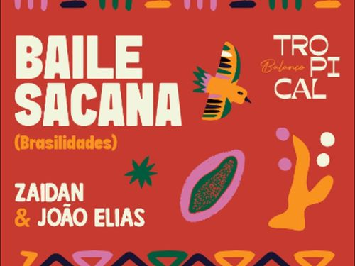 Bailes de Carnaval: "Montê Insano e Baile Sacana"