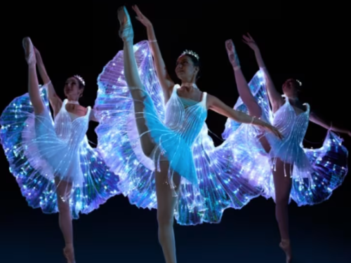 Espetáculo: "We call it Ballet - A Bela Adormecida, um Espetáculo de Dança e Luzes"