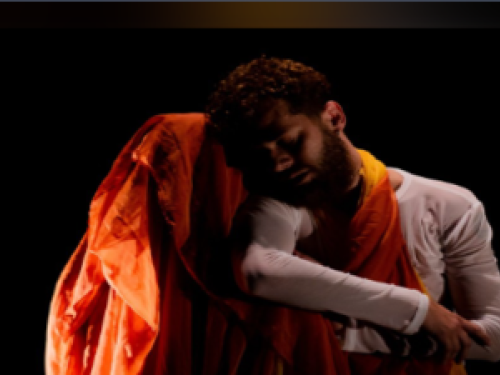 Espetáculo: Câmara Escura