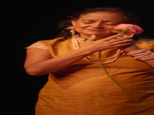 Espetáculo: Um dedo de rosa