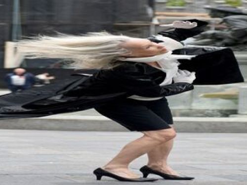 23ª Edição: Dança em Trânsito 