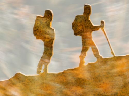 Exposição: Natureza Transformada