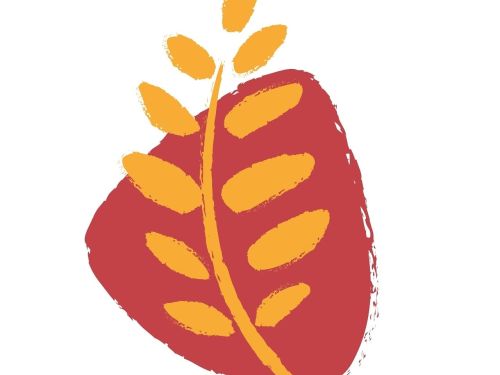 Programação de Férias - Museu de História Natural e Jardim Botânico