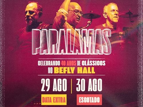Show: Os Paralamas do Sucesso