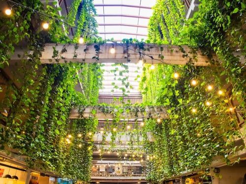 Reprodução instagram