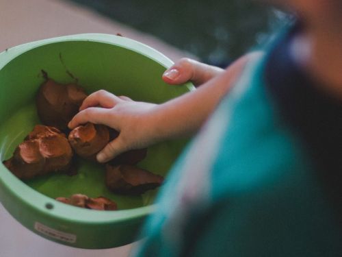 Contação de histórias e criação de bichos