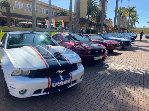 Exposição: "Mustangs no Parque do Palácio"