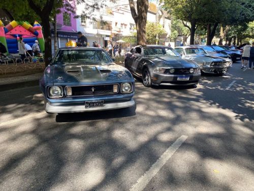 Exposição: "Mustangs no Parque do Palácio"