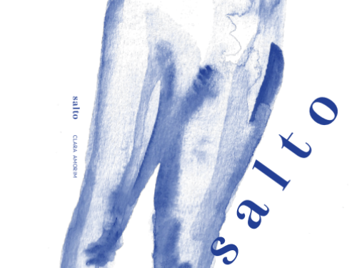  Lançamento do livro: Salto, da autora Clara Amorim