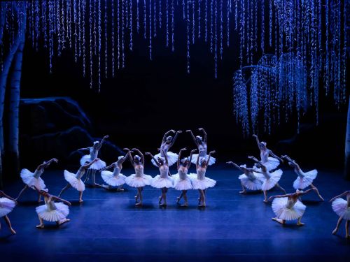 Espetáculo: "O Lago dos Cisnes"