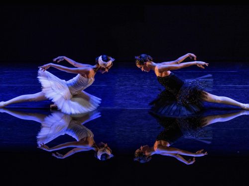 Espetáculo: "O Lago dos Cisnes"