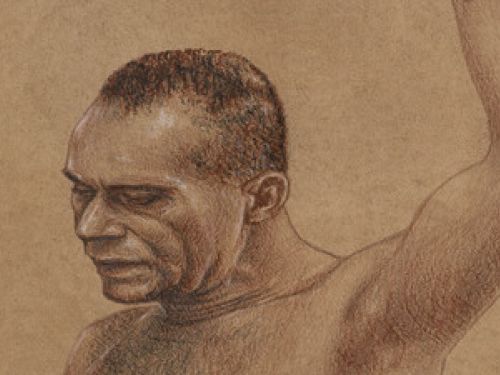 Exposição: Marabunta