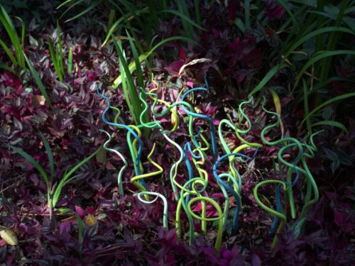 Exposição: "Viridário – Jardim da Fragilidade"