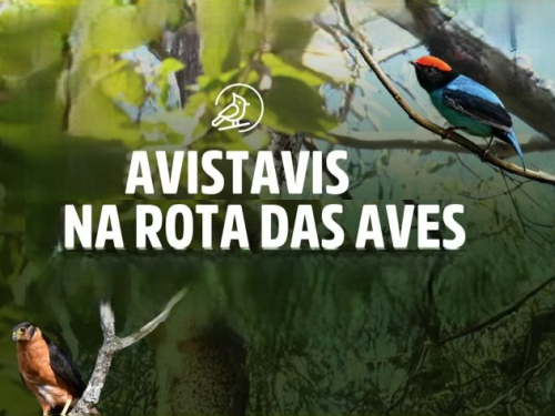 7º AVISTAVIS BH 2025 - Parque Municipal Américo Renné Giannetti 