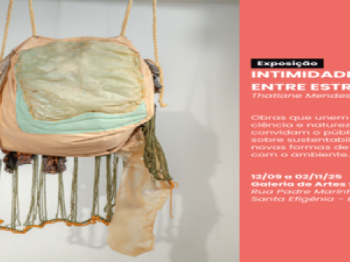 Exposição: "Intimidade entre estranhos" de Thatiane Mendes