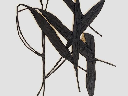 Herbário de Alexandre Brandão