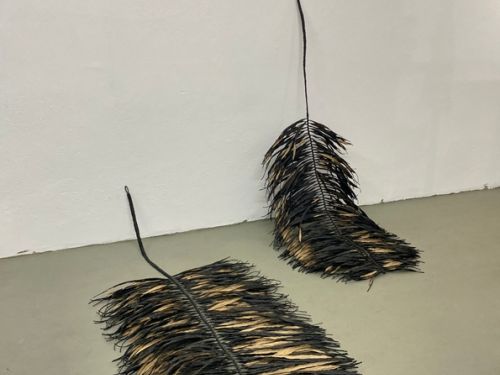 Exposição: Novas Naturezas