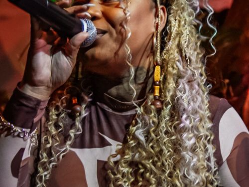 Cantora Ana Hilário