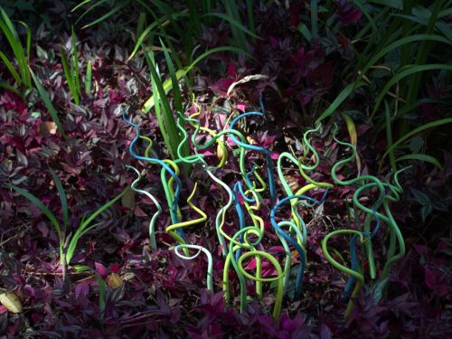Viridário – Jardim da fragilidade - Imagem de Folhagens