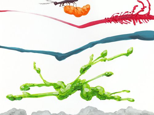 Palestra: “Para além daqui” – António Olaio