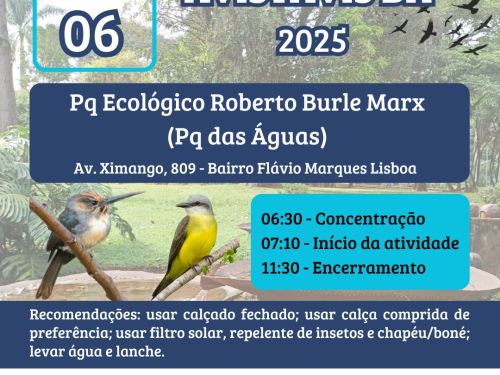 Projeto Ecoavis