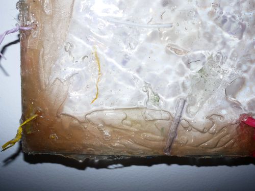 Exposição: "Quarks" de Giulia Puntel