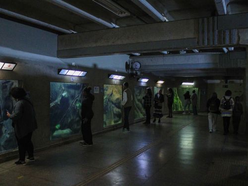 Visita Noturna ao Aquário