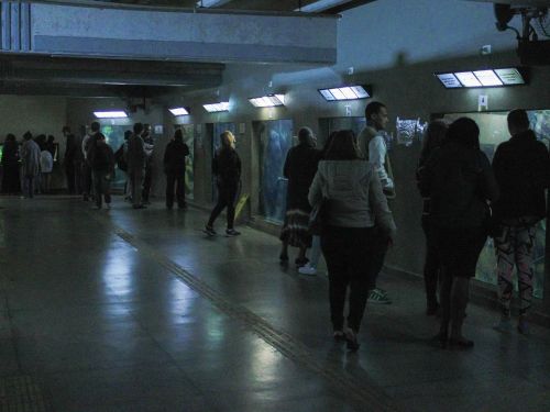 Visita Noturna ao Aquário