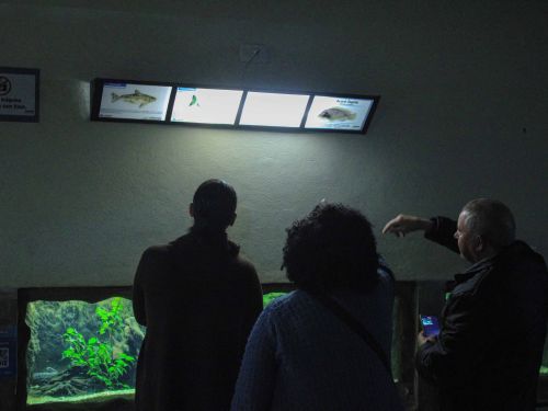 Visita Noturna ao Aquário