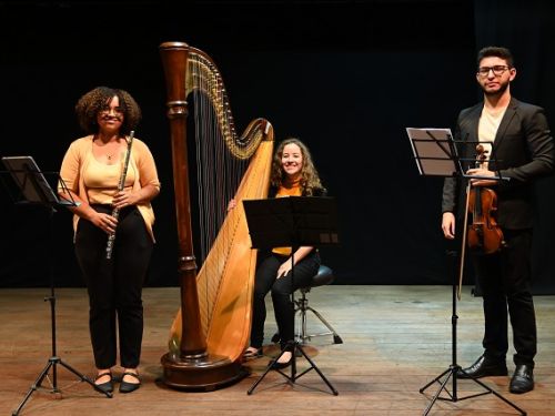 Segunda Musical na Assembleia do Dia 24 de Novembro: Fotografia de mulheres tocando arpa e flauta, e um homem tocando violino
