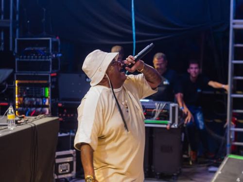 Imagem de um homem cantando em um show 