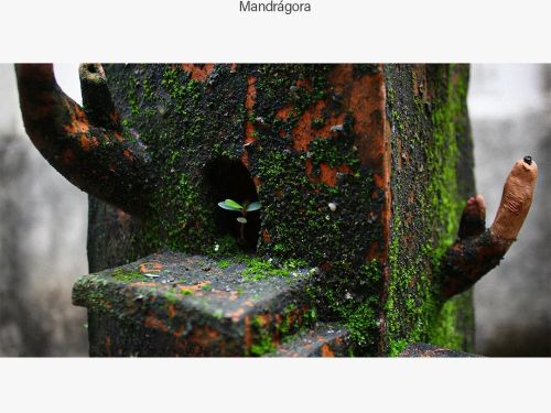 Exposição: "(Re)Habitar"